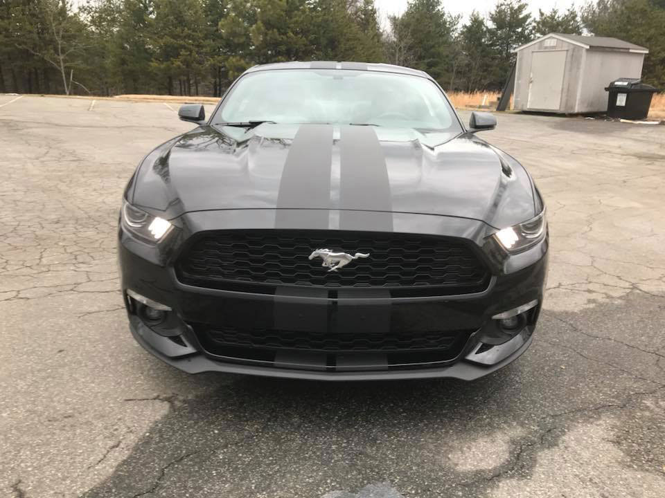 Ford Mustang Vinyl Graphics Vehicle Wrap